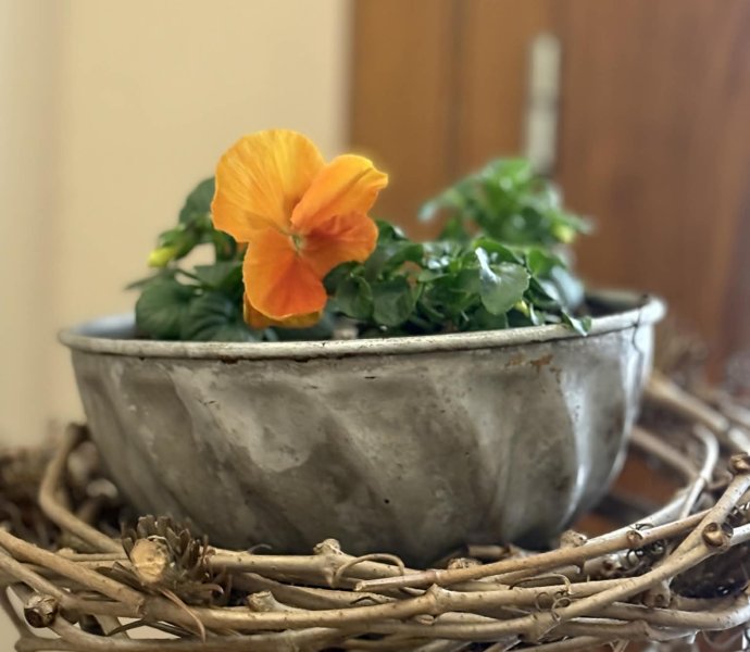 Obrázek galerie 20003