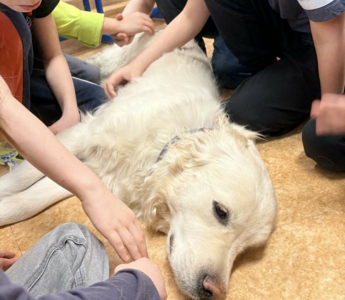 Obrázek galerie 20006