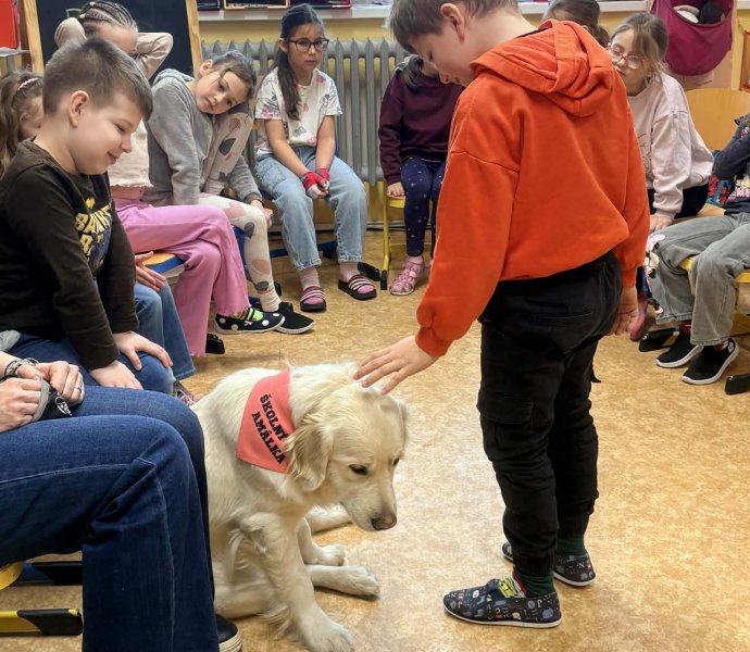 Obrázek galerie 20009