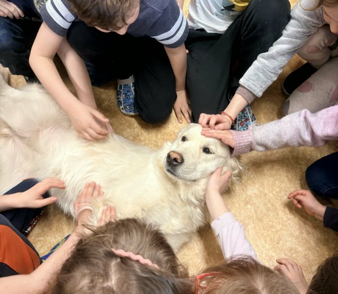 Obrázek galerie 20010