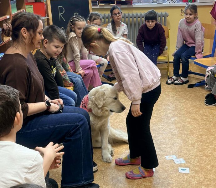 Obrázek galerie 20013