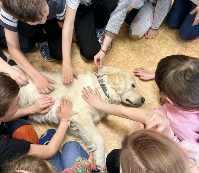 Obrázek galerie 20014