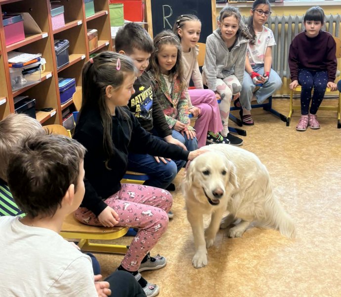 Obrázek galerie 20017