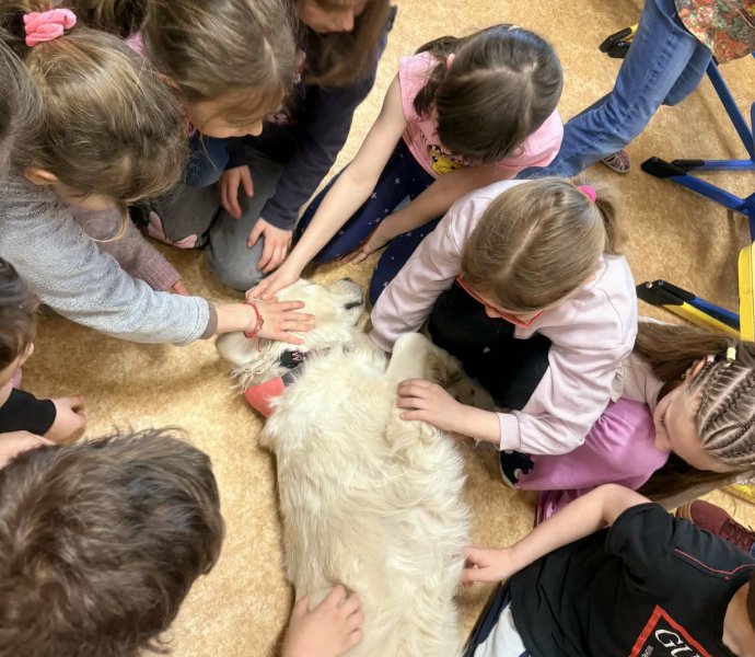 Obrázek galerie 20020