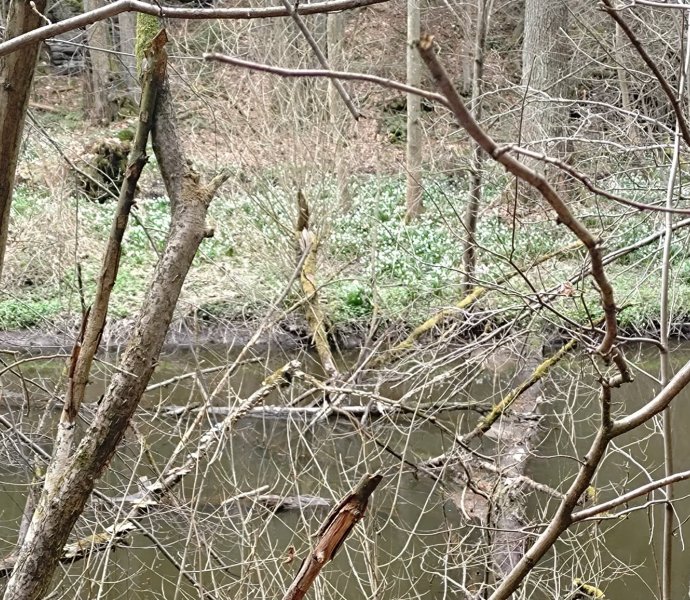 Obrázek galerie 20040