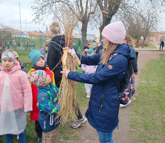 Obrázek galerie 20059