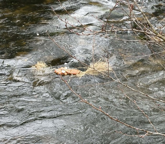 Obrázek galerie 20063