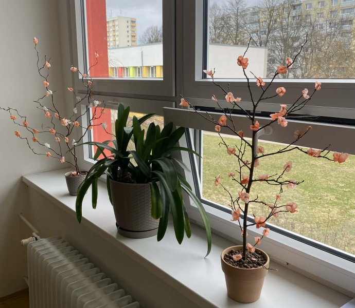 Obrázek galerie 20086