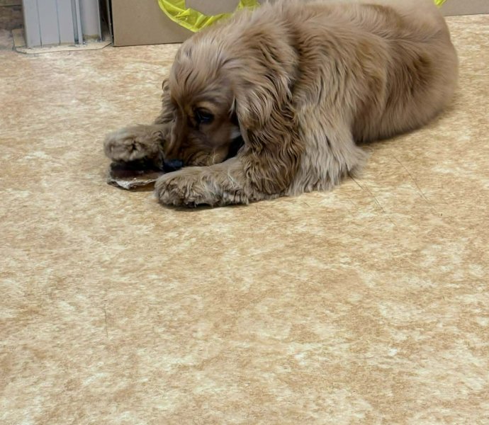 Obrázek galerie 20134