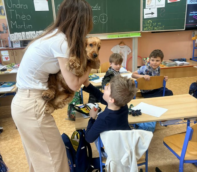 Obrázek galerie 20136