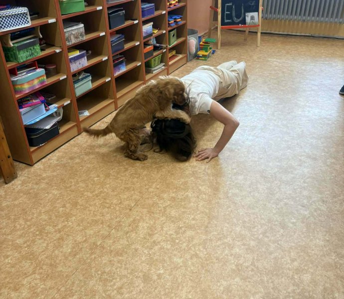 Obrázek galerie 20137