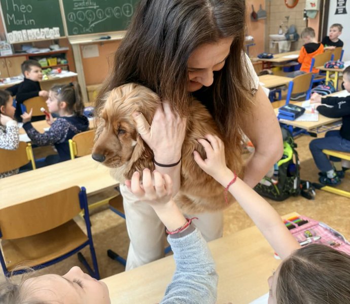 Obrázek galerie 20138