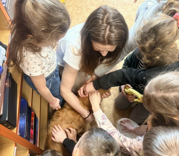 Obrázek galerie 20140