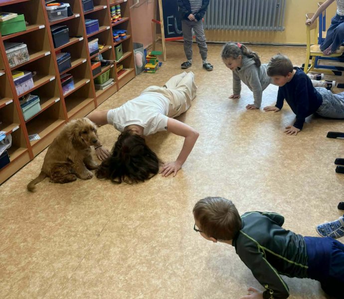 Obrázek galerie 20144