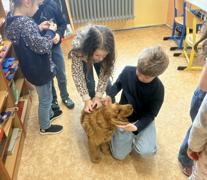 Obrázek galerie 20147