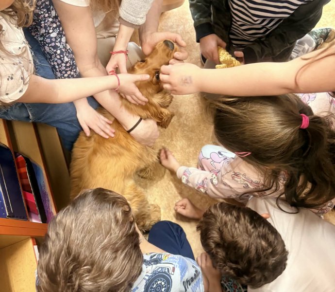 Obrázek galerie 20149