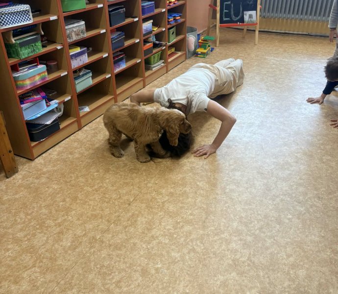 Obrázek galerie 20150