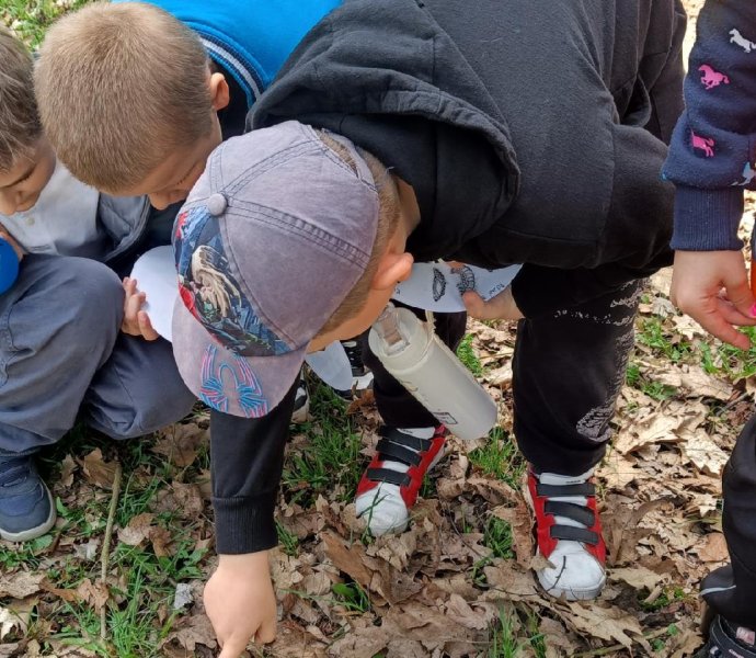 Obrázek galerie 20215