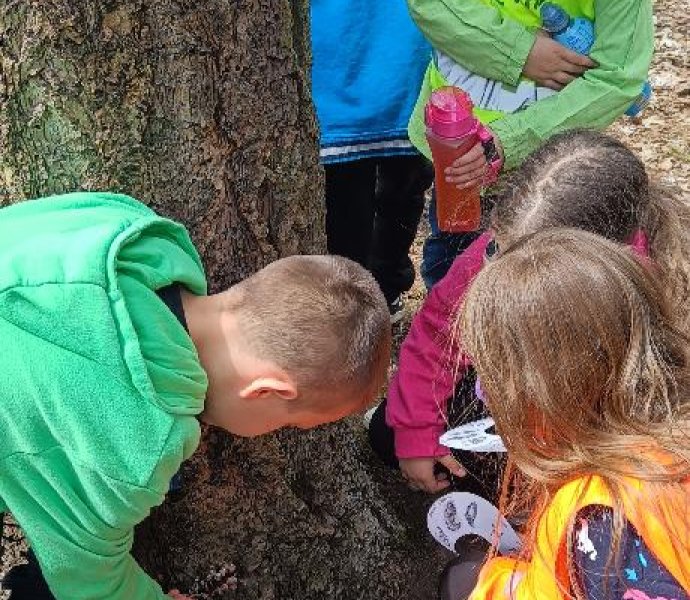 Obrázek galerie 20217