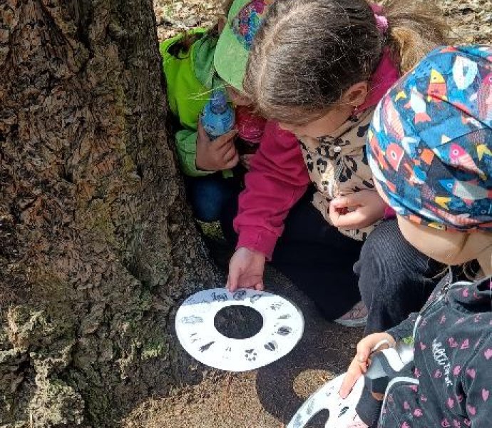 Obrázek galerie 20219