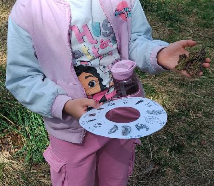 Obrázek galerie 20222