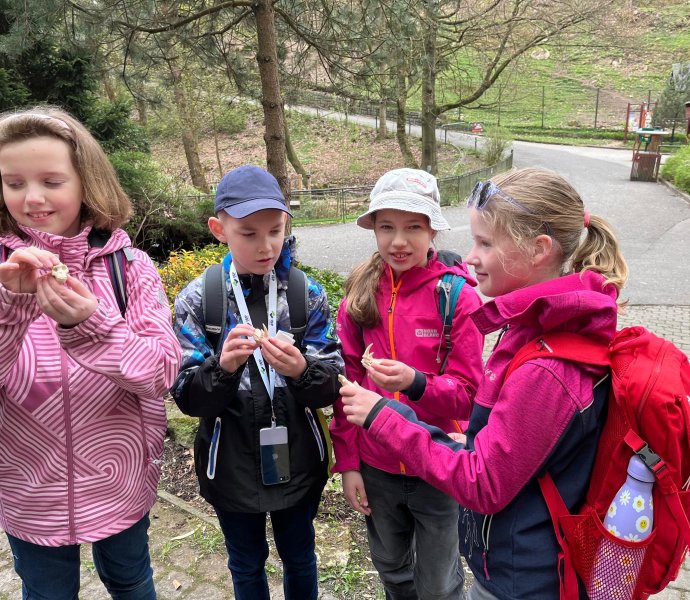 Obrázek galerie 20332