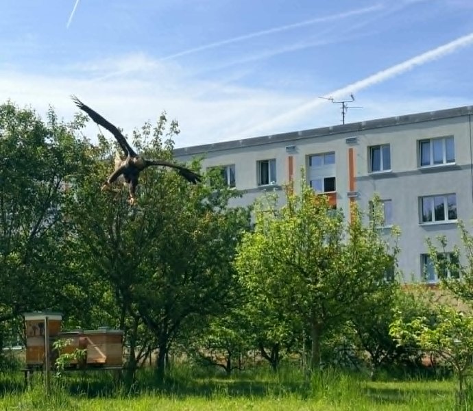 Obrázek galerie  20888