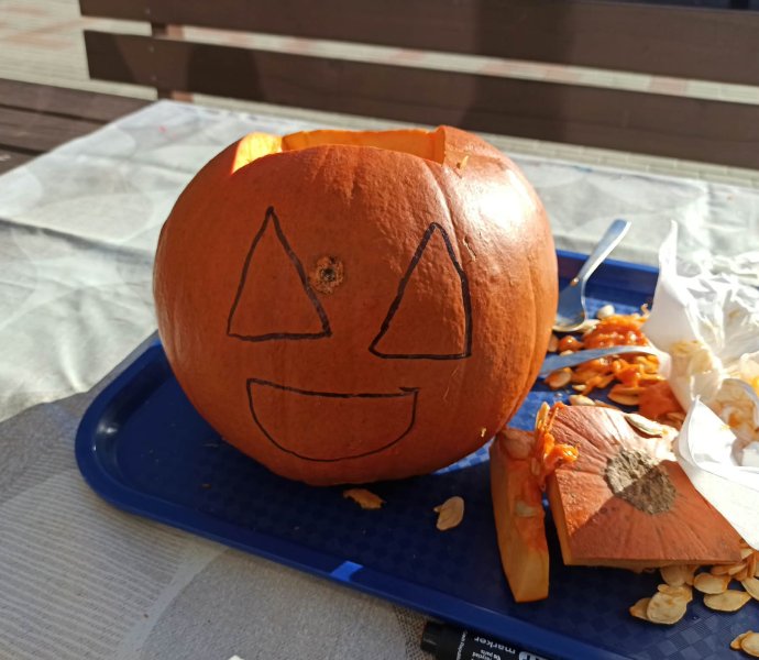 Obrázek galerie 22829