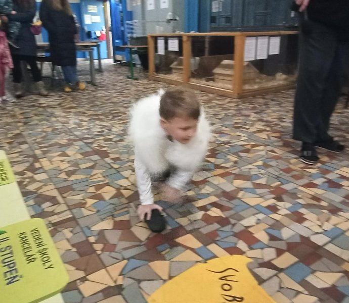 Obrázek galerie 19358