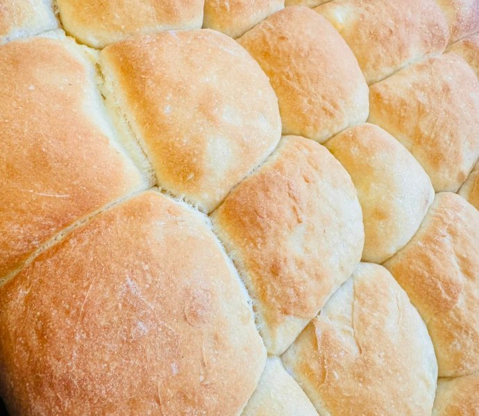 Obrázek galerie 19584