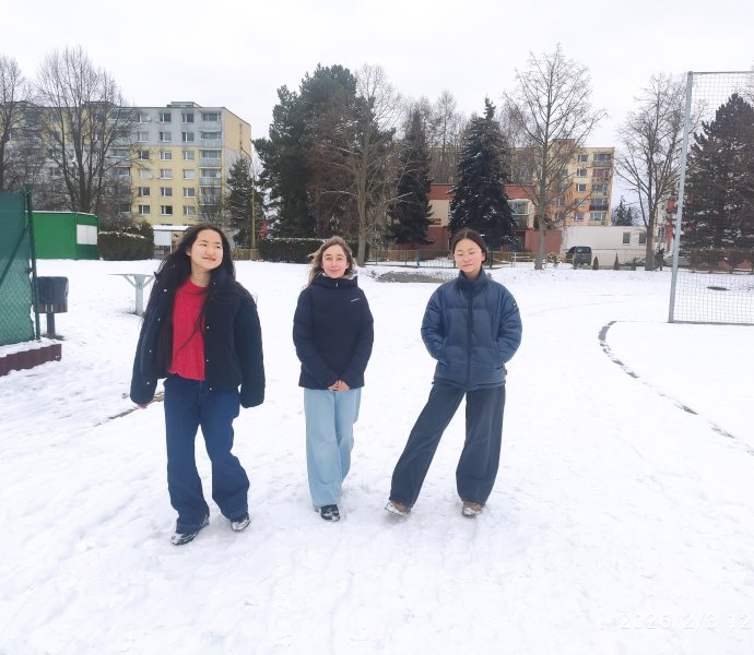 Obrázek galerie 19612