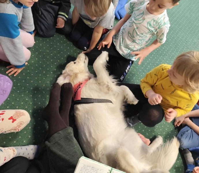 Obrázek galerie 19643