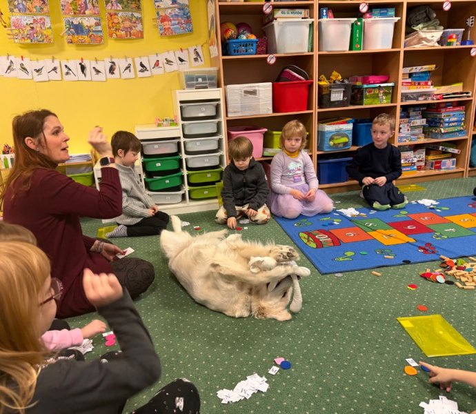 Obrázek galerie 19647