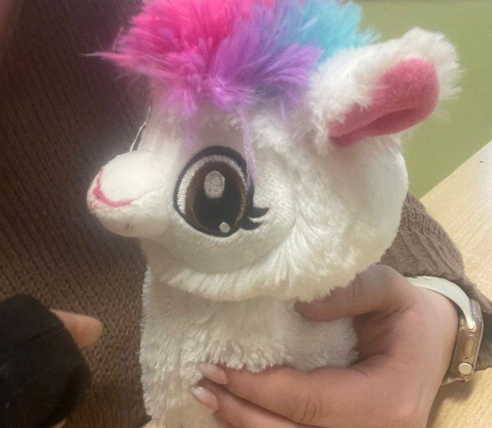 Obrázek galerie 19706